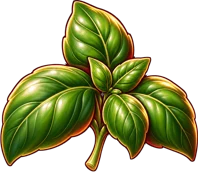 Basil